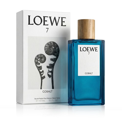 Loewe cobalto eau parfum - eau,